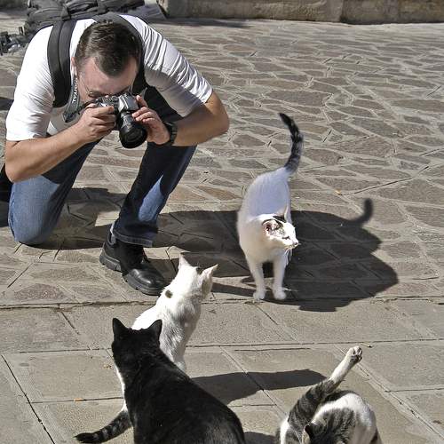 Photo #8819958
