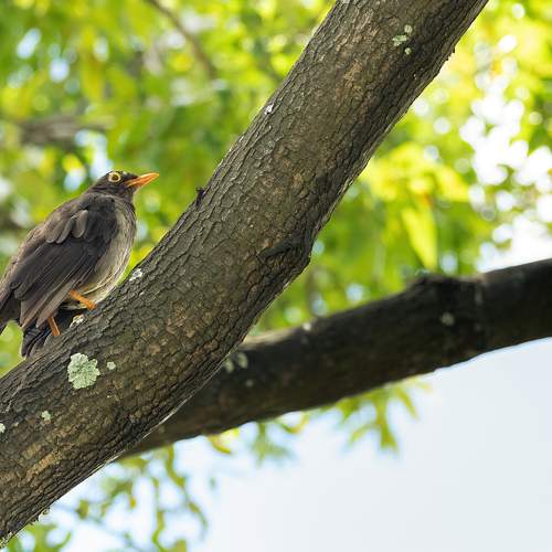 Photo #8819997