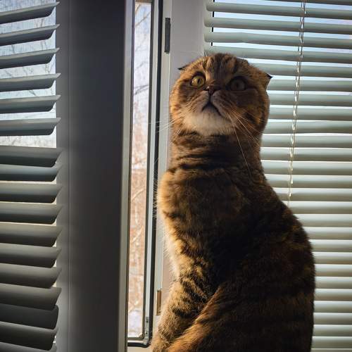 Photo #8820108