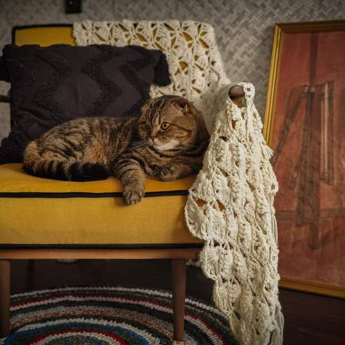 Photo #8820110
