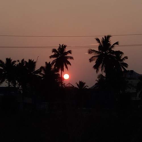 Photo #8820260