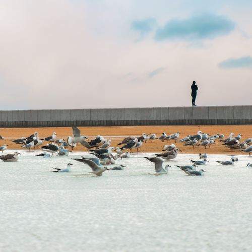 Photo #8820280