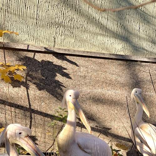 Photo #8820390