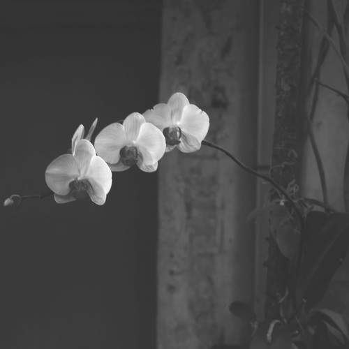 Photo #8820399