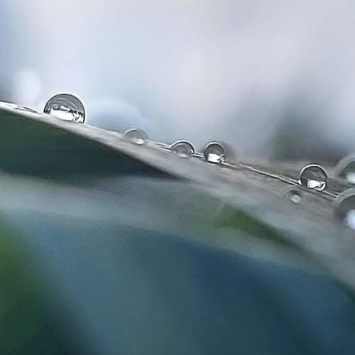 Photo #8820457
