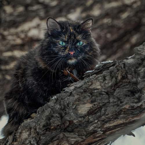 Photo #8820556