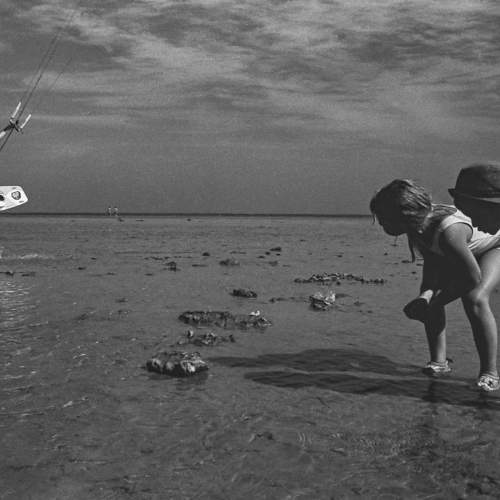 Photo #8820917