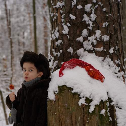 Photo #8821068
