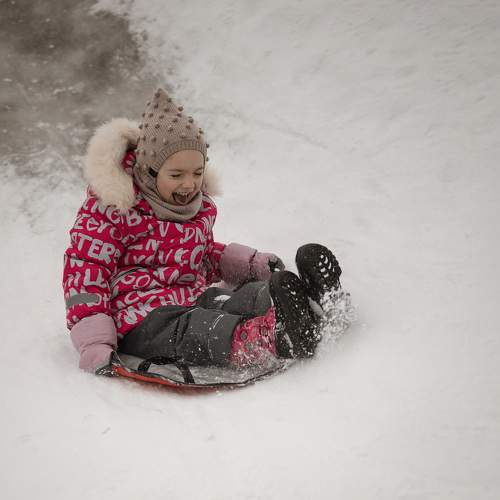 Photo #8821118