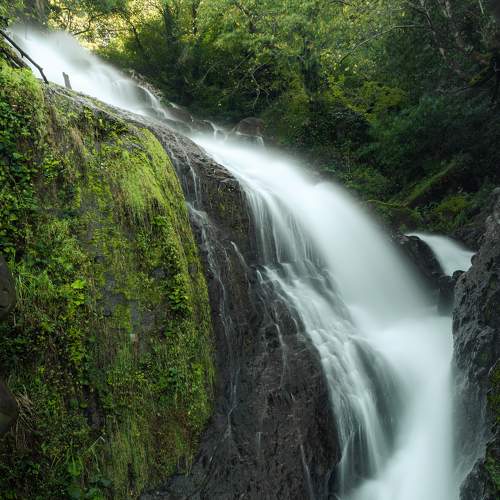 Photo #8821435