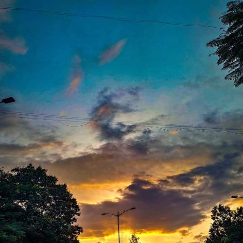 Photo #8821867