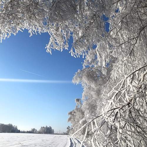 Photo #8822025