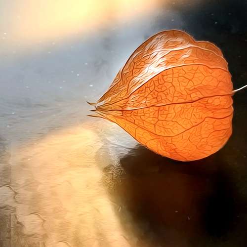Photo #8822087