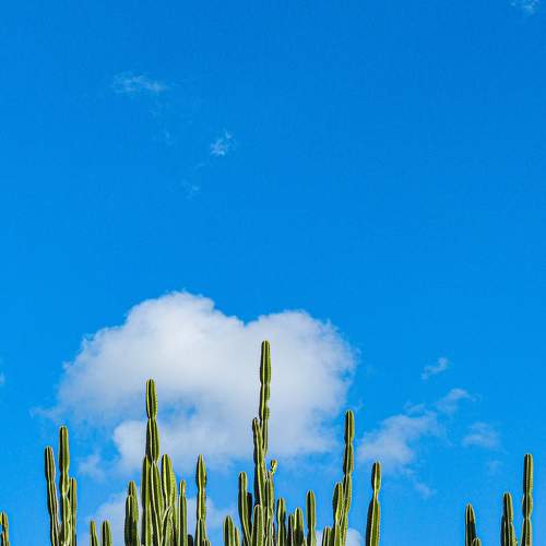 Photo #8822141