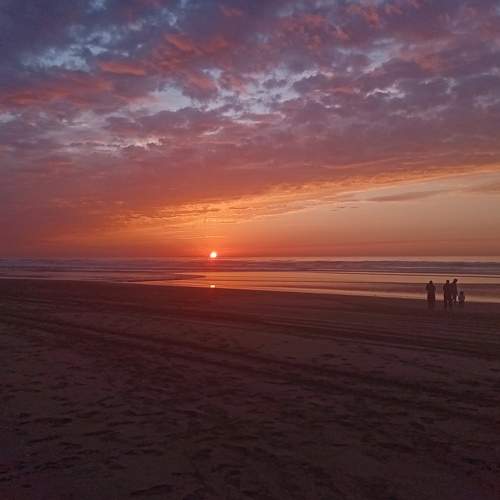 Photo #8822295