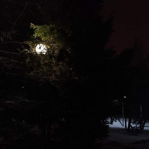 Photo #8822844