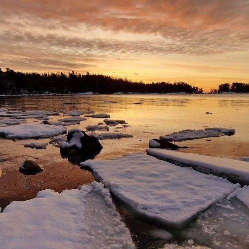 Photo #8822911