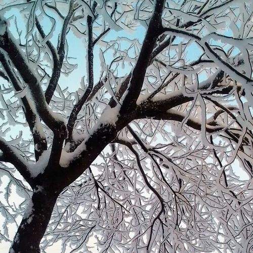 Photo #8823204