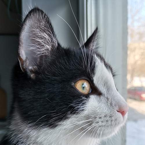 Photo #8823419