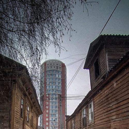 Photo #8823445
