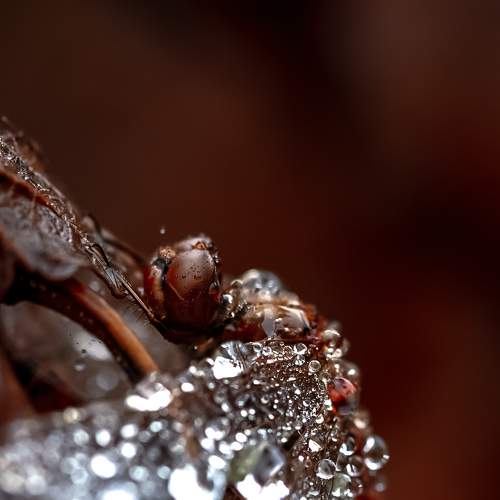 Photo #8823992