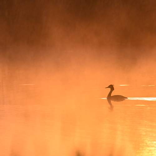 Photo #8824012