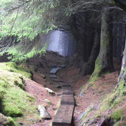 Photo #8824024