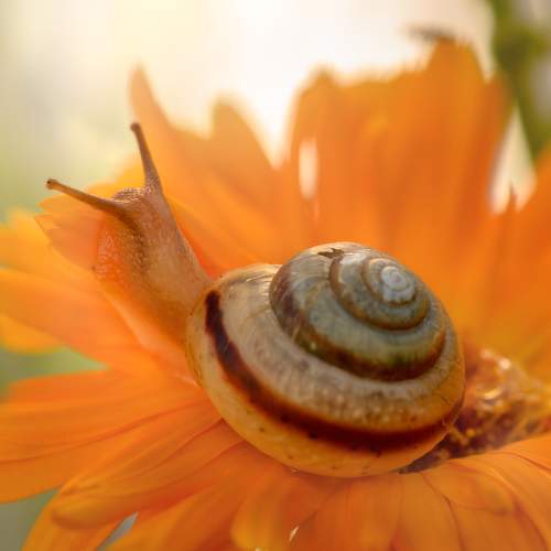 Photo #8824029