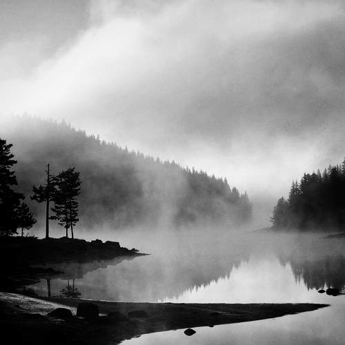 Photo #8824077