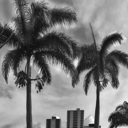 Photo #8824211