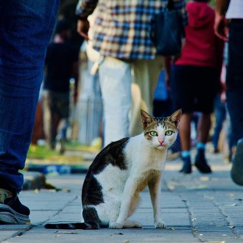Photo #8824296
