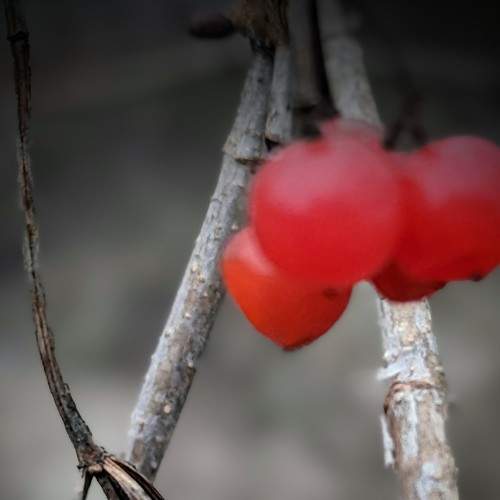Photo #8824382