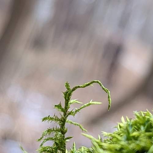 Photo #8824389