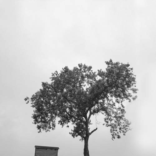 Lone