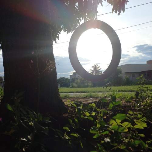Swing of life