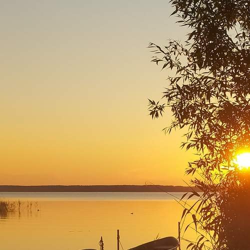 Photo #8824777