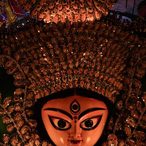 Photo #8824778