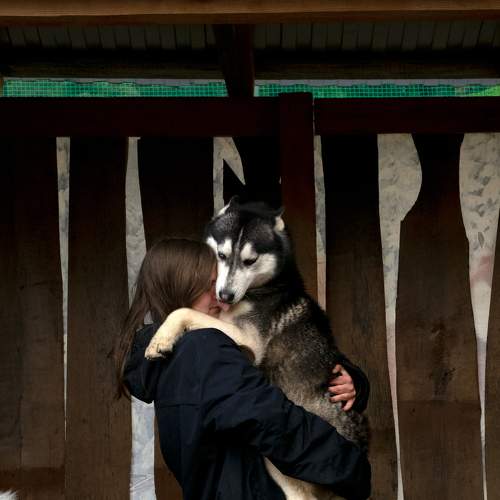 Photo #8824867