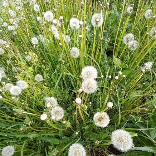 Photo #8824895