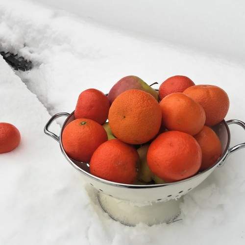 Photo #8825241