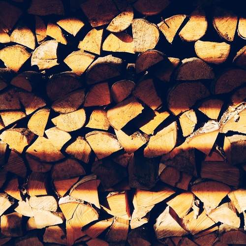 Photo #8825514