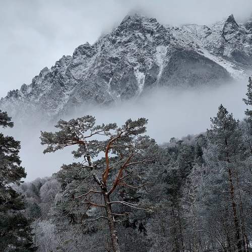 Photo #8825548