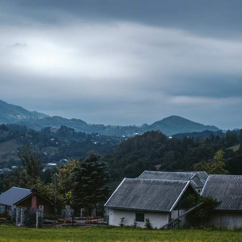 Photo #8825669