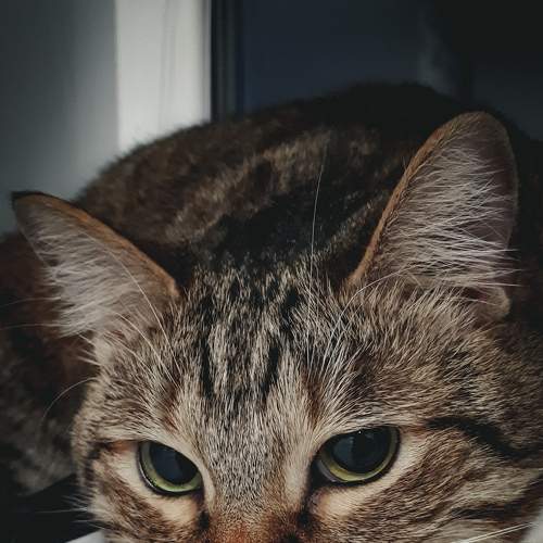 Photo #8825671
