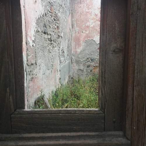 Photo #8825723