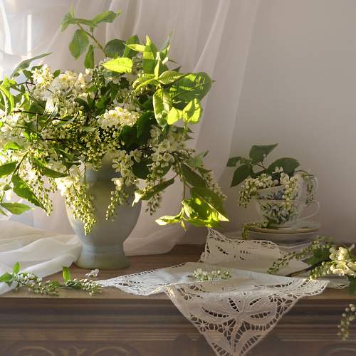 Photo #8826294