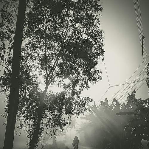Photo #8826404