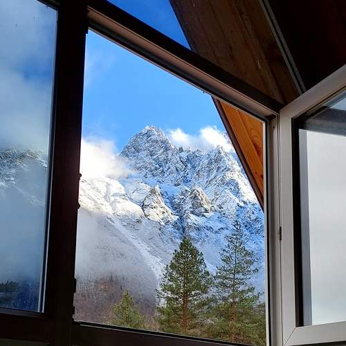 Photo #8826569