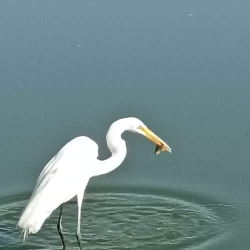 Photo #8827032