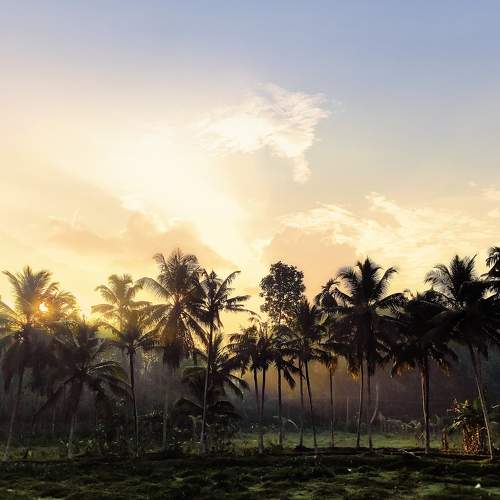 Photo #8827076